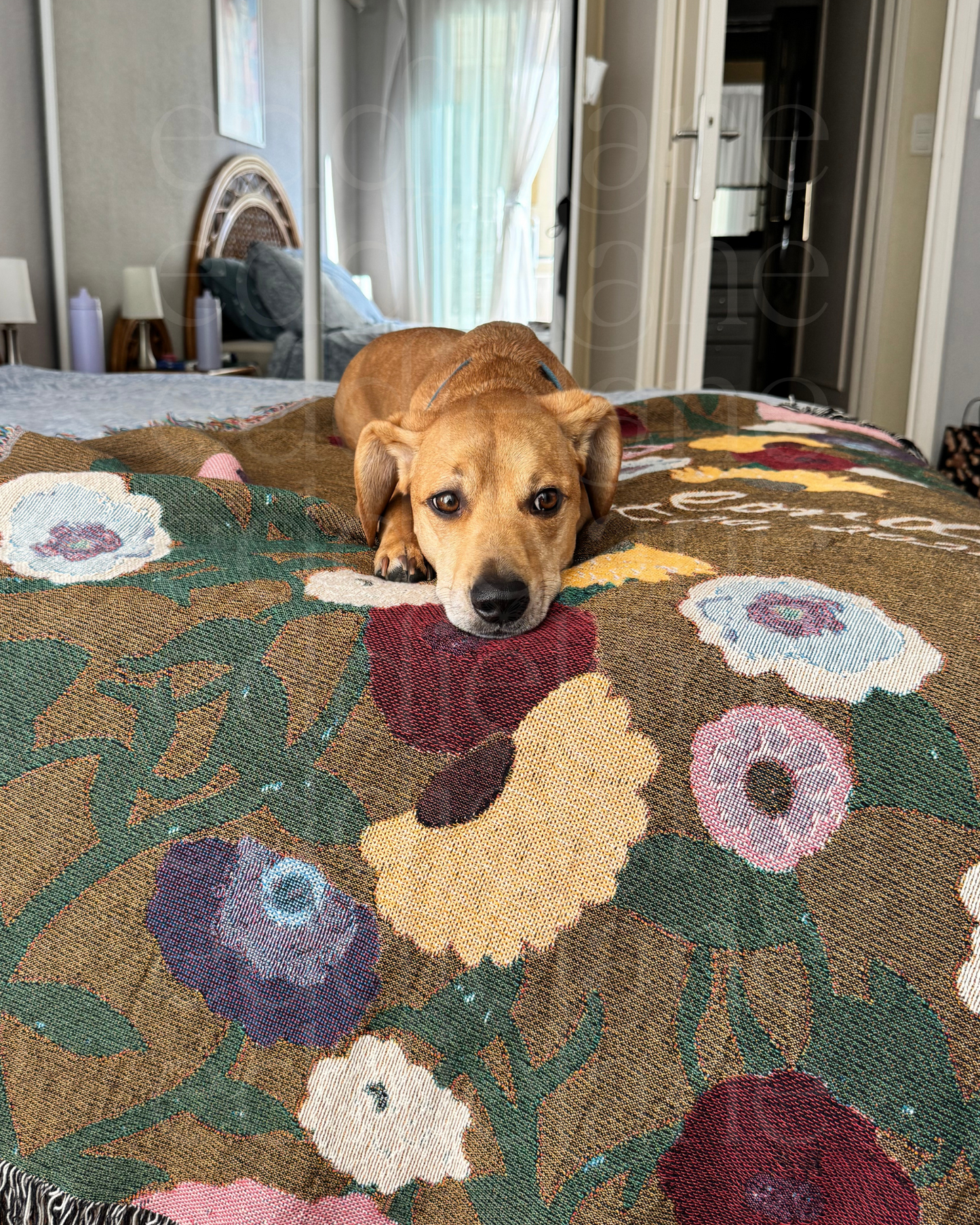 The Personalized Painted Piano Floral Woven Blanket